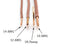 50 Feet (15 Meter) - Insulated Solid Copper THHN / THWN Wire - 12 AWG, Wire is Made in the USA, Residential, Commerical, Industrial, Grounding, Electrical rated for 600 Volts - In Brown