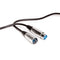 Extension Cable for Microphone | XLR Male to XLR Female Cable | 3P, 100 feet